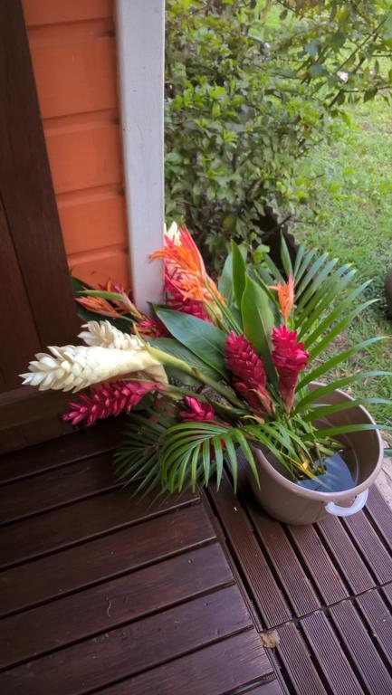 Vila Cap Martinique Sainte-Anne Exteriér fotografie